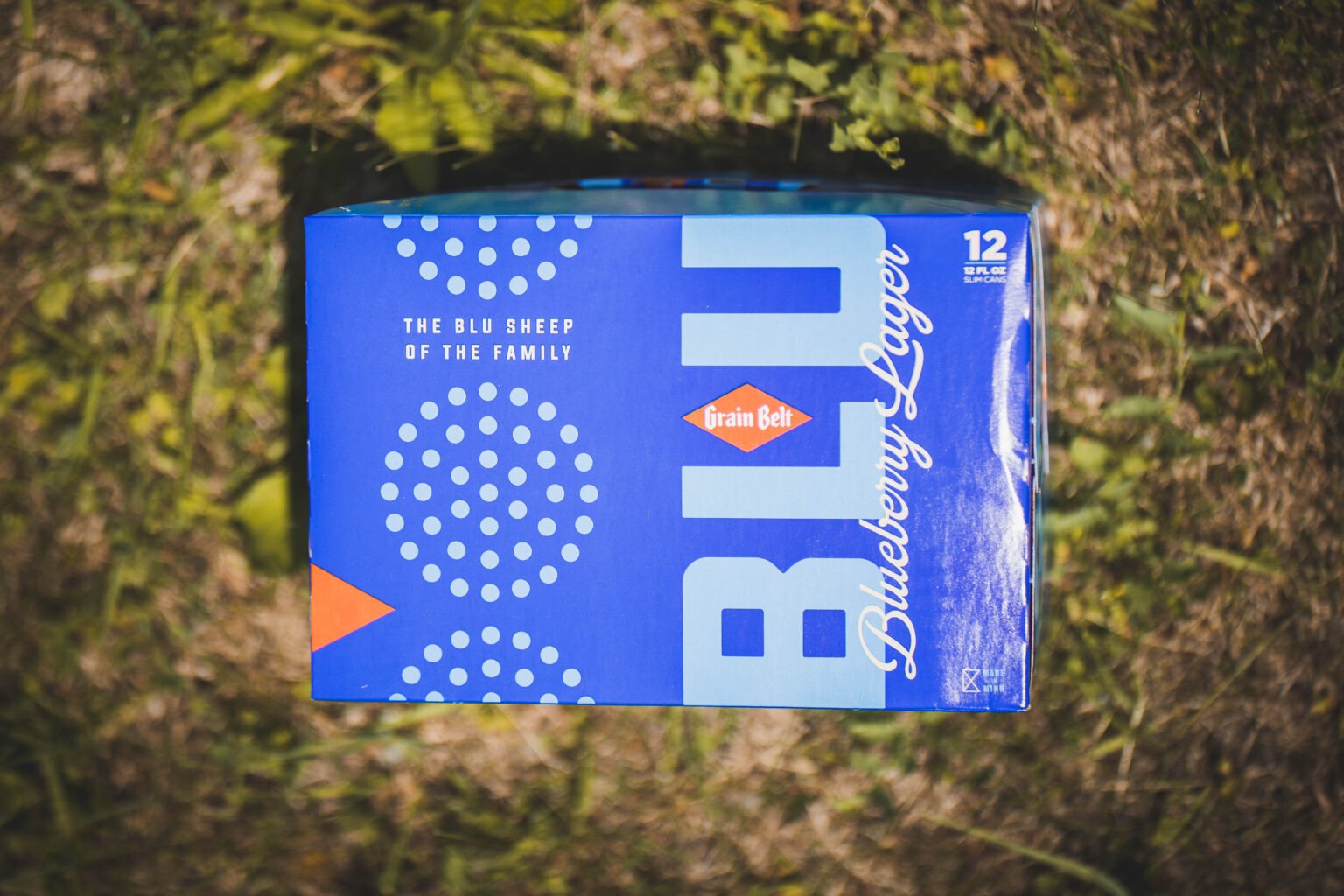THE BEST THINGS TO DO WHILE DRINKING GRAIN BELT BLU Grain Belt